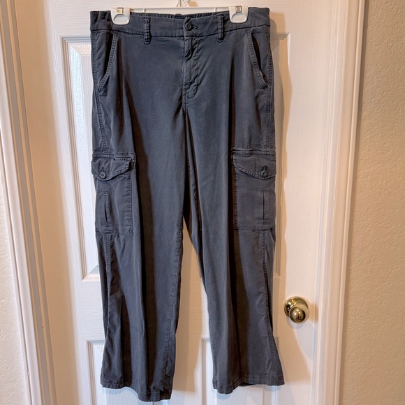 American Eagle Cargo Pants 10 - Picture 1 of 3
